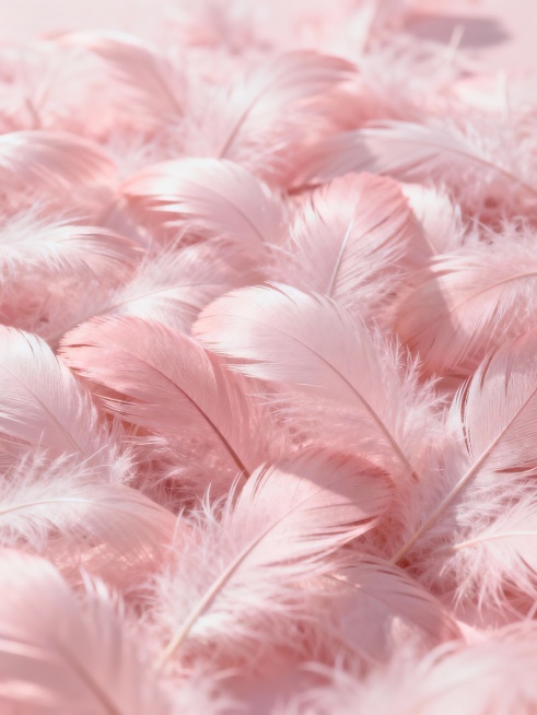大量轻盈飘逸的羽毛以紧密层叠的构图铺满画面，羽毛的纹理细节清晰可见，每一根羽丝都呈现出柔和的曲线与细腻的质感，整体画面保持明亮通透的光线效果，具有高清晰度和柔和的光影过渡，主色调替换为淡粉色，羽毛呈现出统一的淡粉色调，保持原有的轻盈感和细腻质感，背景为纯净的浅粉色，营造出柔和浪漫的氛围。预览效果