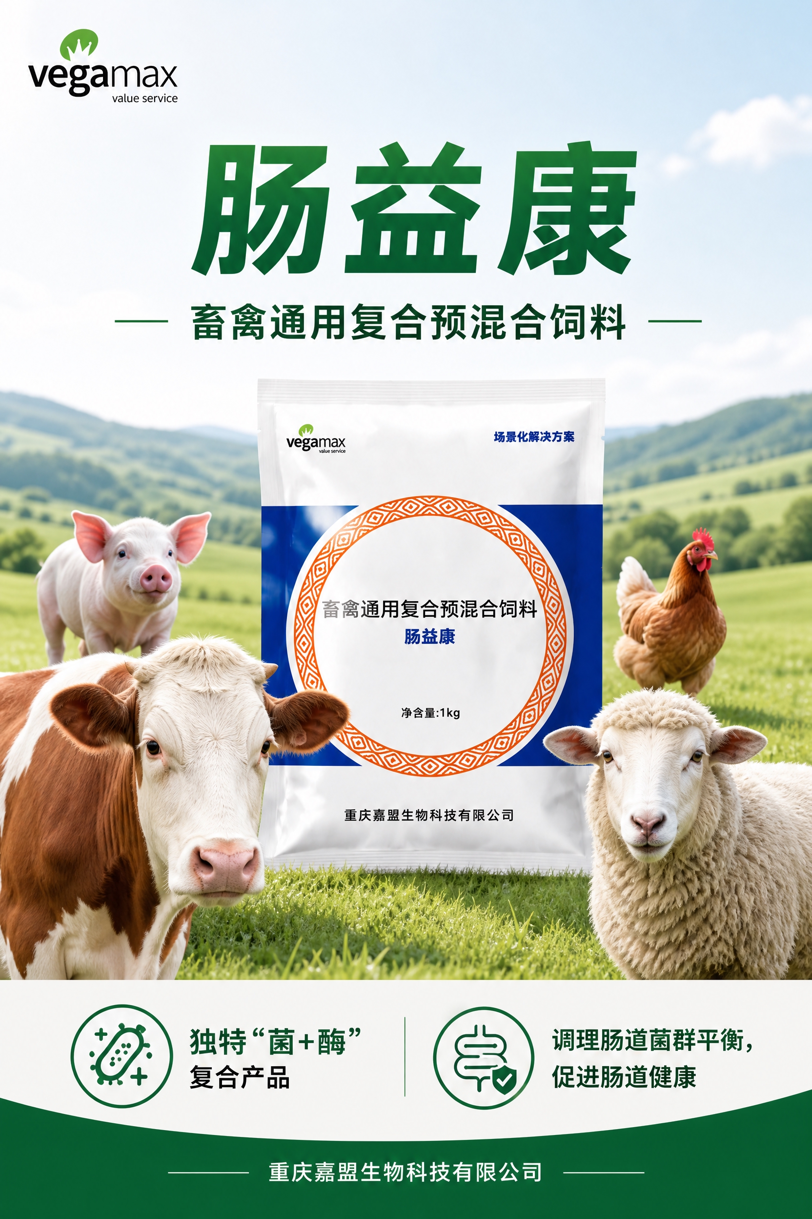 重新设计肠益康首页海报，风格改为简洁大气，减少装饰元素。 主要… - 图片创意预览