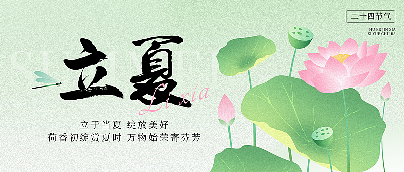 立夏通用节气祝福荷花荷叶微信公众号首图