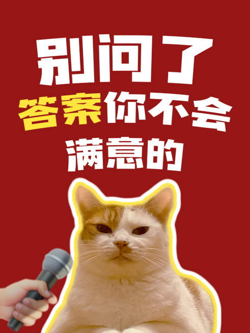 创意文案大字标题吸睛表情包小红书封面预览效果