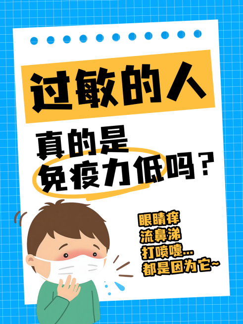 过敏感冒免疫力医药小红书封面设计预览效果