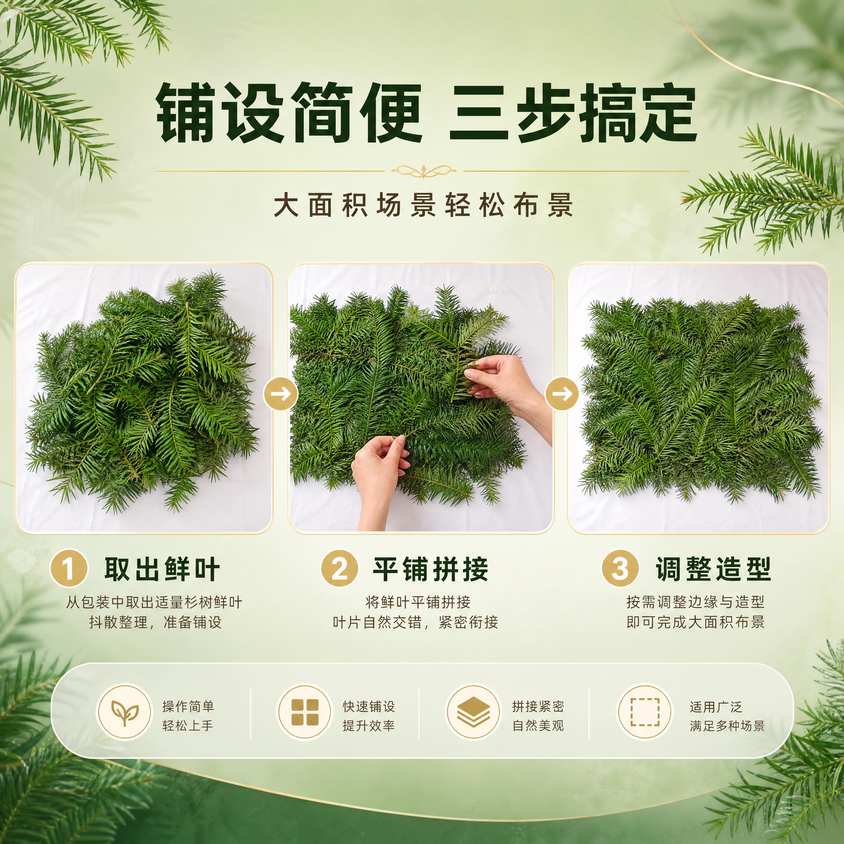 [商品] 使用【图1】【图2】新鲜杉树叶平方装；保留杉树鲜叶的… - 图片创意预览