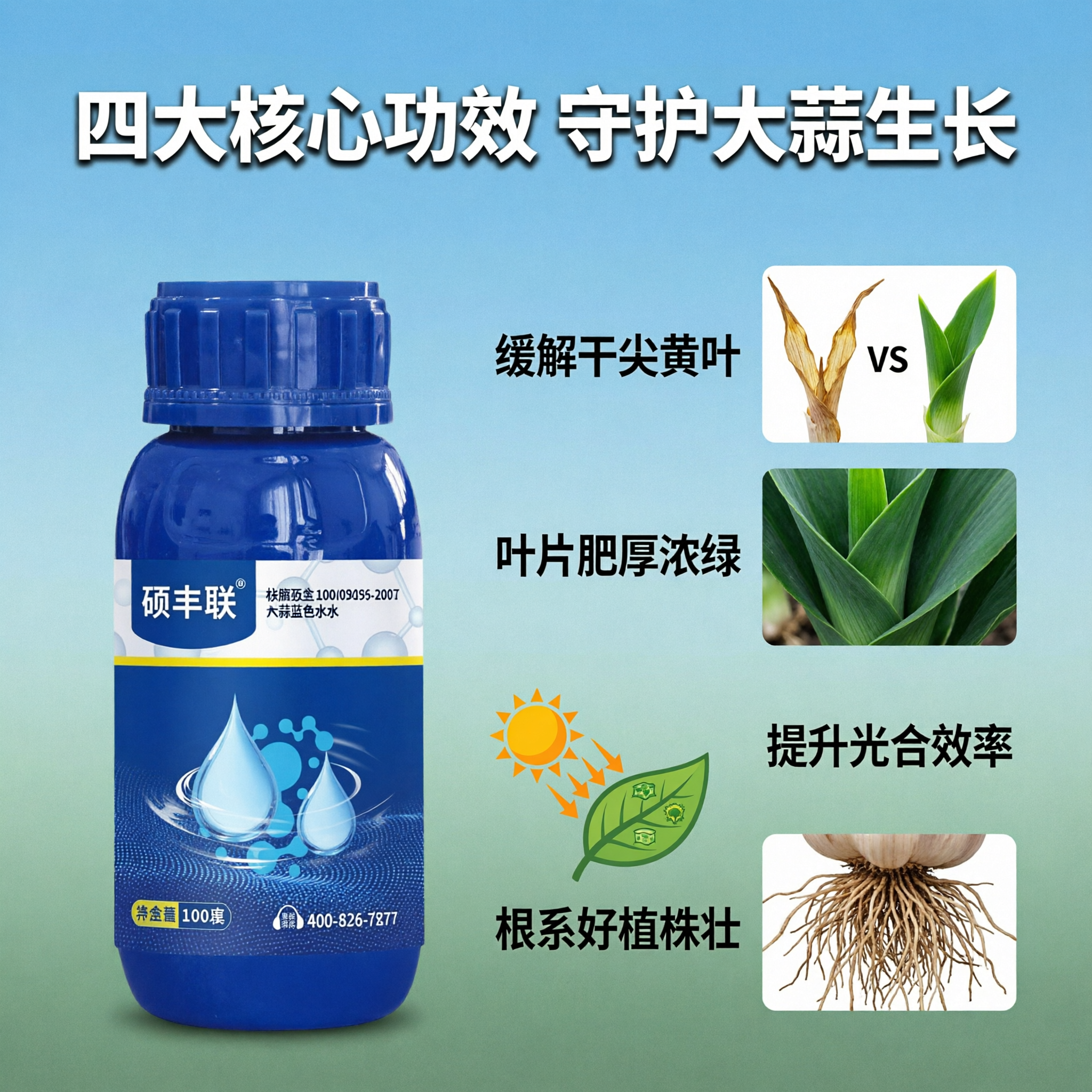 抖音电商主图，1:1正方形，大蒜蓝水产品卖点主图，画面左侧为硕… - 图片创意预览
