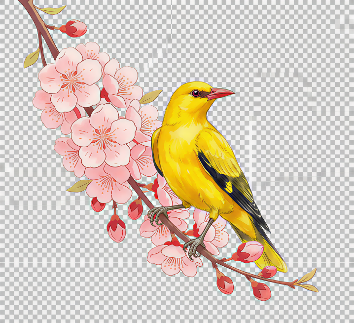 预览效果