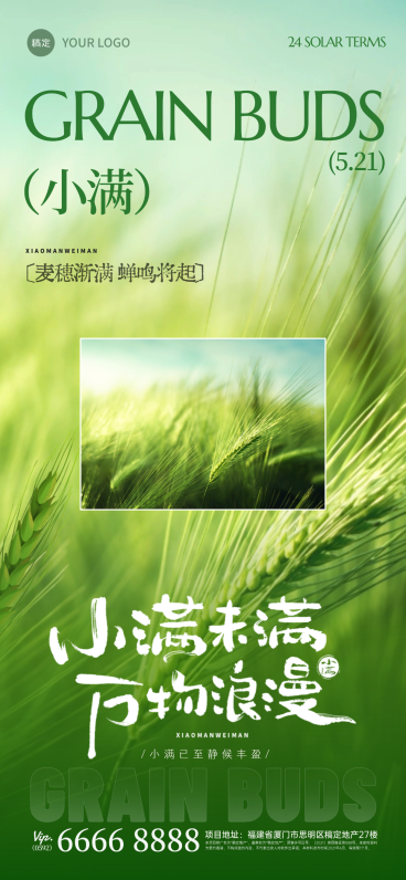小满节气简约时尚水稻实景全屏海报预览效果