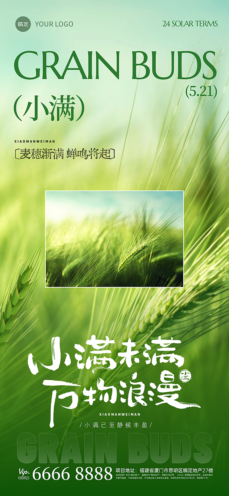 小满节气简约时尚水稻实景全屏海报