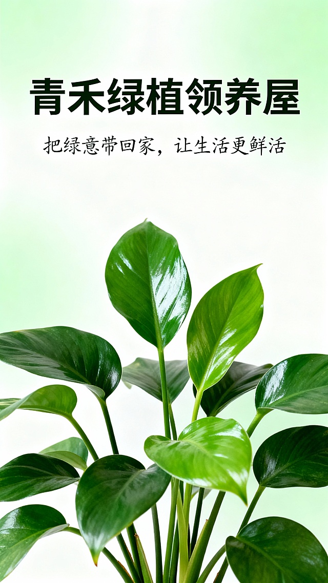 要求海报中要有宣传语