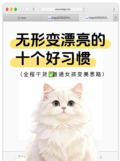 变美干货生活分享简约排版小红书封面美妆博主
