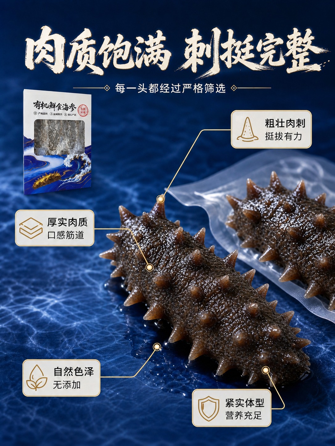 将图中前景的大海参和真空包装袋里的海参，全部直接用第二张图中的… - 图片创意预览