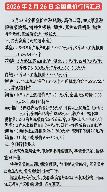 参照上传图片的手写字体和红黑配色，将以下内容完整排版，布局合理：2026 年 2 月 26 日 全国鱼价行情汇总2 月 26 日全国鱼价由涨转跌、高位回落，四大家鱼涨幅收窄趋稳，特种鱼领跌，鳜鱼、黑鱼预览效果