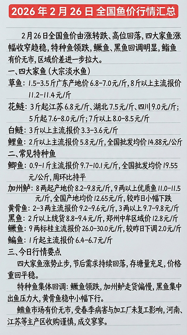 参照上传图片的手写字体和红黑配色，将以下内容完整排版，布局合理：2026 年 2 月 26 日 全国鱼价行情汇总2 月 26 日全国鱼价由涨转跌、高位回落，四大家鱼涨幅收窄趋稳，特种鱼领跌，鳜鱼、黑鱼回调明显，鮰鱼有价无市，区域价差进一步拉大。一、四大家鱼（大宗淡水鱼）草鱼：1.5-3.5 斤广东产地价 6.8-7.0 元 / 斤，8 斤以上主流报价 11.2-11.4 元 / 斤花鲢：3 斤起江苏 6.8 元 / 斤、湖北 7.5 元 / 斤、四川 9.0 元 / 斤；5 斤起 7.6-8.0 元 / 斤；7 斤以上 8.0-8.5 元 / 斤白鲢：3 斤以上主流报价 3.3-3.6 元 / 斤鲤鱼：2 斤以上主流报价 5.8 元 / 斤，全国批发均价 14.88 元 / 公斤二、常见特种鱼鲫鱼：0.9-1 斤主流报价 9.7-10.1 元 / 斤，全国批发均价 19.55 元 / 公斤，周环比持平加州鲈：8 两起产地价 8.2-9.8 元 / 斤，9 两以上优质鱼 11.0-11.5 元 / 斤，全国产地均价 12.65 元 / 斤，较昨日小幅下跌黄骨鱼：2-3 两主流报价 9.2-9.6 元 / 斤，3 两以上 9.7-9.8 元 / 斤黑鱼：2 斤以上统货 8.8-9.4 元 / 斤，郑州中牟区域价 12.8 元 / 斤鳜鱼：9 两标桂主流报价 26.0-30.0 元 / 斤，较昨日下调 2.0 元 / 斤鳊鱼：1 斤起主流报价 6.4-6.7 元 / 斤三、今日行情要点四大家鱼涨势止步，节后需求持续回落，存塘量充足，价格重回平稳。特种鱼集体回调：鳜鱼领跌，加州鲈走货偏慢，黑鱼集中出鱼压力大，黄骨鱼稳中小幅下行。鮰鱼市场有价无市，受春季病害与加工厂未复工影响，河南、江苏等主产区收购谨慎，成交寥寥。