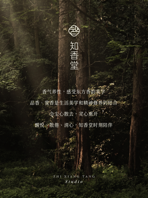 中式禅意雅致风格，深林背景，阳光穿过树林，中心竖向品牌logo“知香堂”，下方品牌宣传文案，排版和参考图一致，750*1000尺寸，保持整体风格统一预览效果