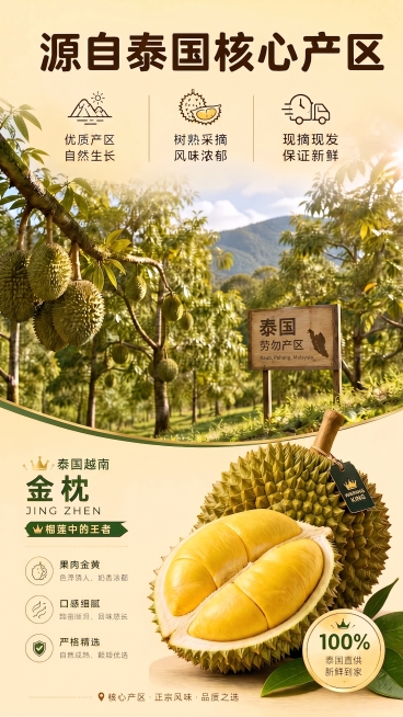 预览效果
