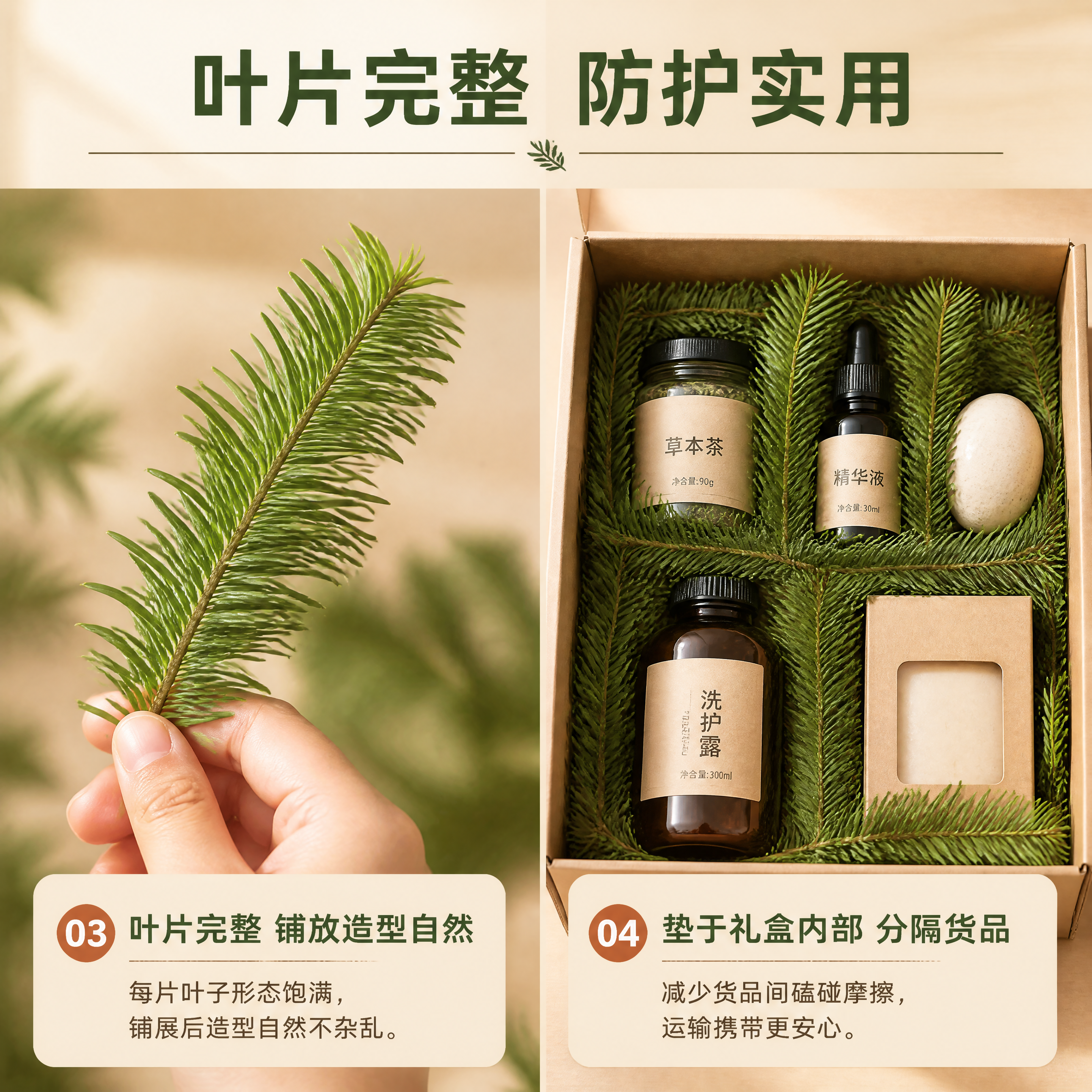 [商品] 使用【图2】【图3】新鲜杉树叶鲜叶；保留杉树叶的针状… - 图片创意预览