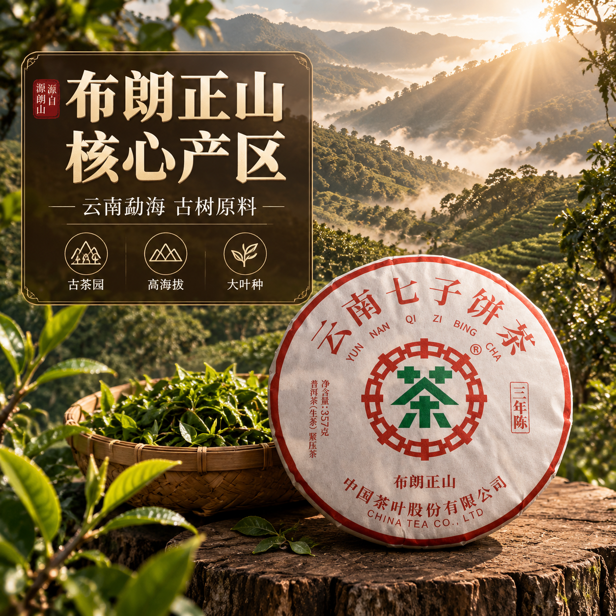 [主图-2] 产地溯源，布朗山核心产区普洱原料，沉浸式茶山氛围… - 图片创意预览