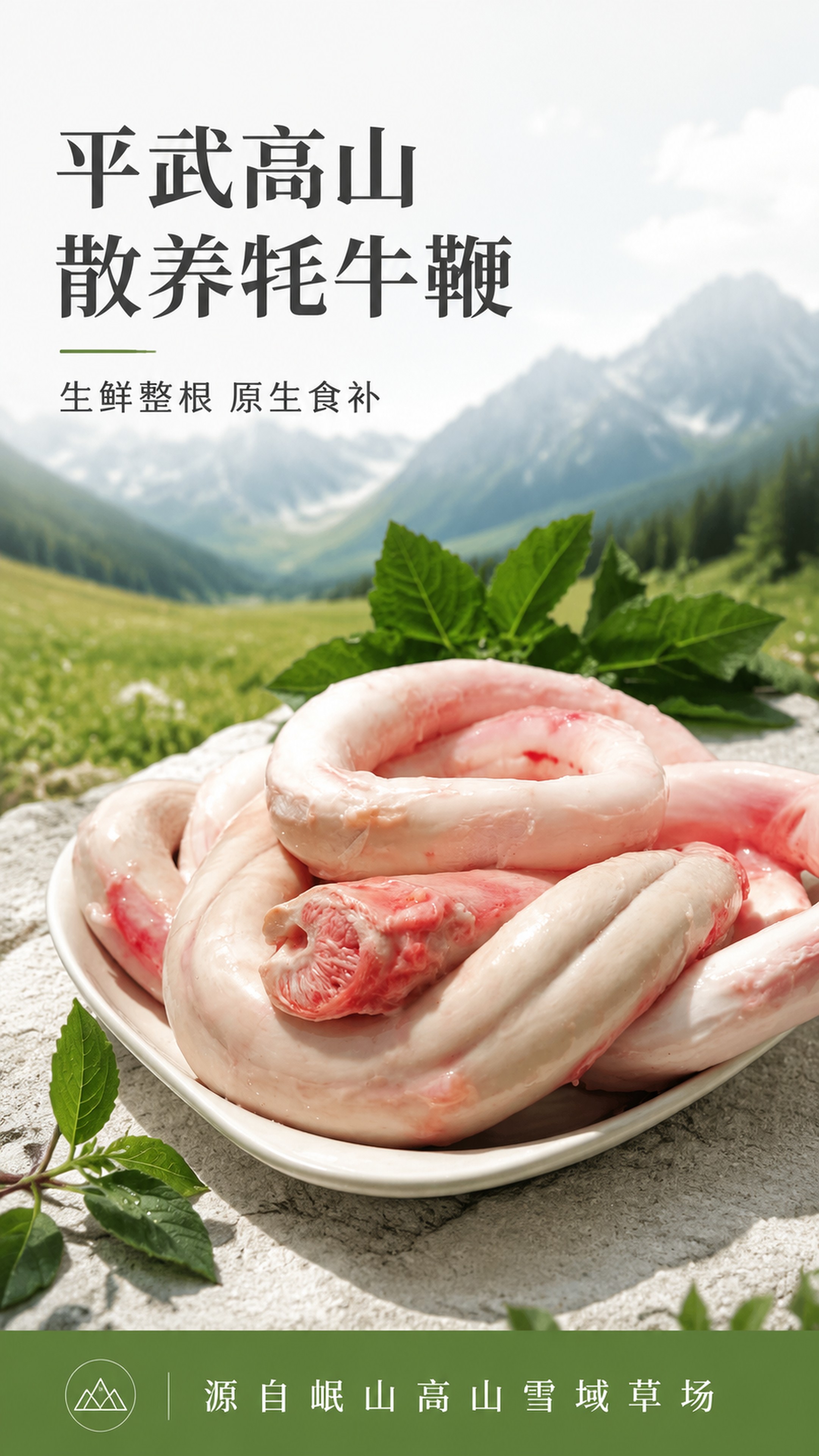 [第1屏] 详情页头图-平武高山散养牦牛生鲜整根牛鞭产品主视觉… - 图片创意预览