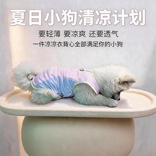 保留文案、狗狗凉凉衣和台面，去掉金属桌腿，更换为更简约美观的一体式展示台底座，整体风格协调干净
