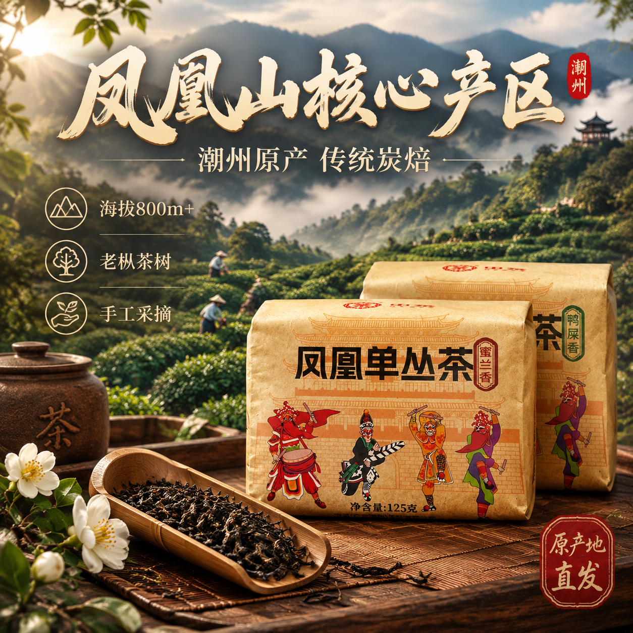 [主图-2 产地溯源] 凤凰单丛茶产地溯源主图，突出潮州凤凰山… - 图片创意预览