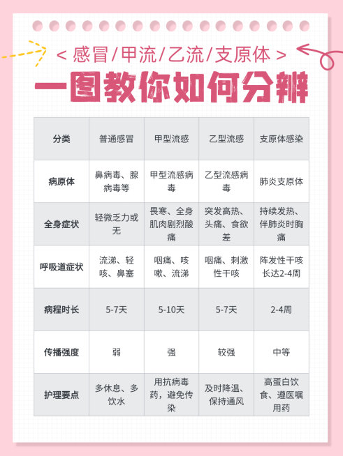 扁平风分辨感冒流感知识分享小红书配图预览效果