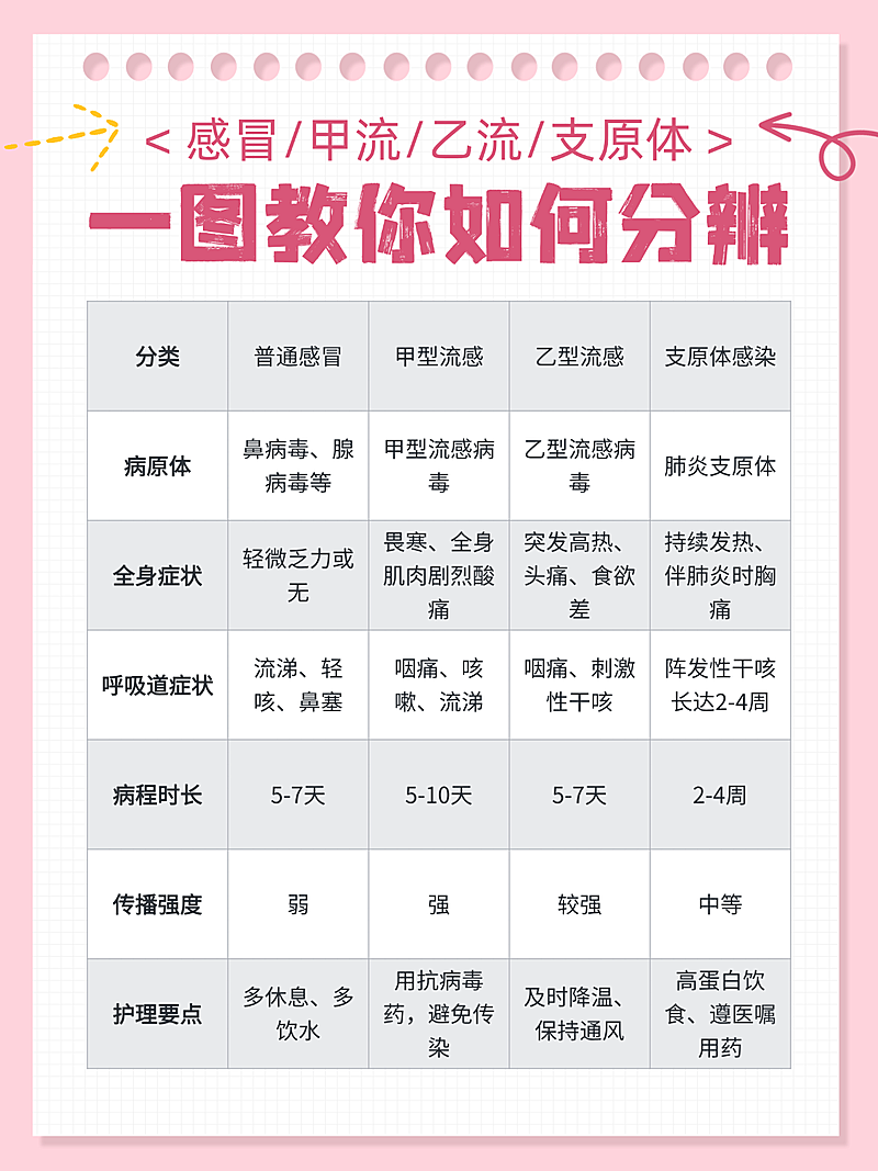 扁平风分辨感冒流感知识分享小红书配图