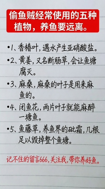 偷鱼贼经常使用的五种植物，养鱼要远离。
1、香椿叶，遇水产生亚硝酸盐。
2、黄姜，又名断肠草，会让鱼塘腐灭。
3、麻桑，麻桑的叶子是用来麻鱼的。
4、闭鱼花，两片叶子就能麻醉一塘鱼。
5、鱼预览效果