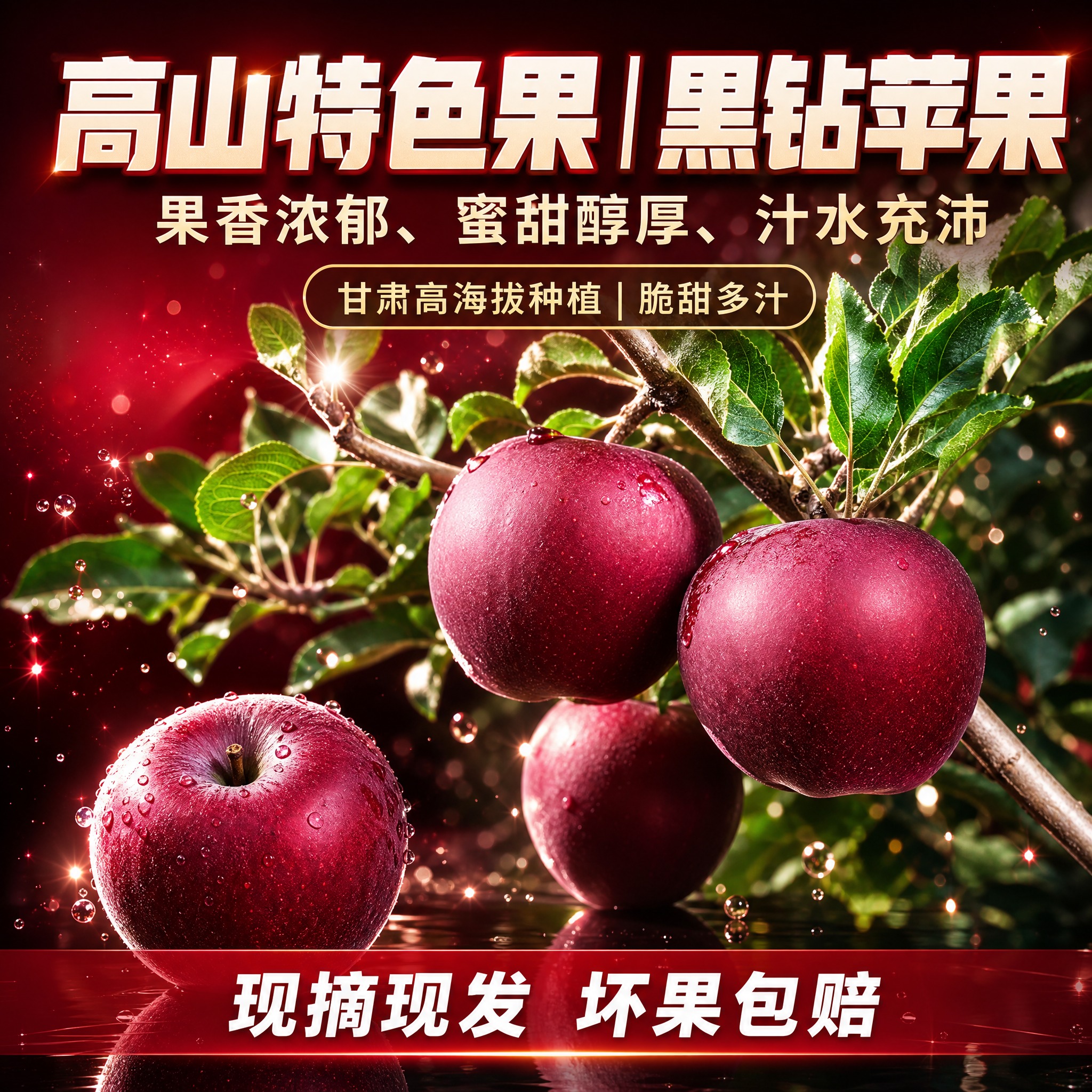 [主图-1] 黑钻苹果电商主图，800×800方图。 [统一基… - 图片创意预览