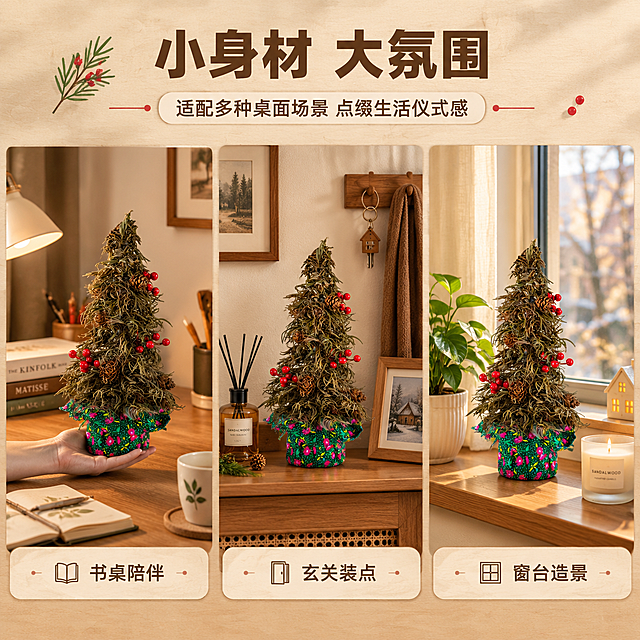 [商品] 使用【图2】干杉叶圣诞树中号款；保留干制杉树枝条、红果松果、花布底座的结构与颜色；商品处理：保留手持的比例参照感，去除原背景白布，融入真实居家场景。
[画面] 目标：场景种草，展示圣诞树在多个居家场景的摆放效果，体现桌面装饰不占空间。构图：三格拼图布局，分别展示书桌一角、玄关置物架、窗台边三个场景。每个场景中圣诞树自然摆放，搭配相应的家居小物（书本、香薰、相框、绿植）。景别：每个格子为中近景。阅读动线：从上到下、从左到右。
[视觉] 套系策略：风格=温馨治愈居家节日风商业摄影；标题字=阿里巴巴普惠体粗体；正文字=阿里巴巴普惠体常规；主色=暖棕+深杉绿；背景延展=暖木色、米白、浅棕渐变，带细腻木纹/纸质质感；强调色=浆果红，仅用于小面积图标、引线和重点文字高亮；标题色=深棕褐；正文色=暖灰棕；组件=圆角浅米色信息卡、细棕线引线、小圆点装饰；光影=左前侧暖柔光，柔和阴影，氛围感强。
[文字] 顶部通栏主标题"小身材 大氛围"（6字），副标题"适配多种桌面场景 点缀生活仪式感"（14字）；每个场景格子下方配短标签："书桌陪伴"、"玄关装点"、"窗台造景"；文字横排，清晰可读。
[规格] 图片比例1:1，4K，负向提示：避免变形、错字、文字过小、冷蓝背景、产品颜色改变、极限词、天然/环保/原生态等违规词、淘宝平台违禁词、水印、二维码。