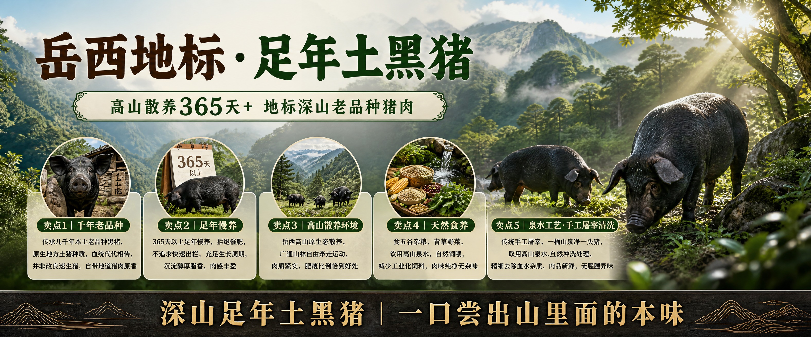 一张超宽横版生鲜土黑猪宣传海报，写实商业摄影风格，整体画面以岳… - 图片创意预览