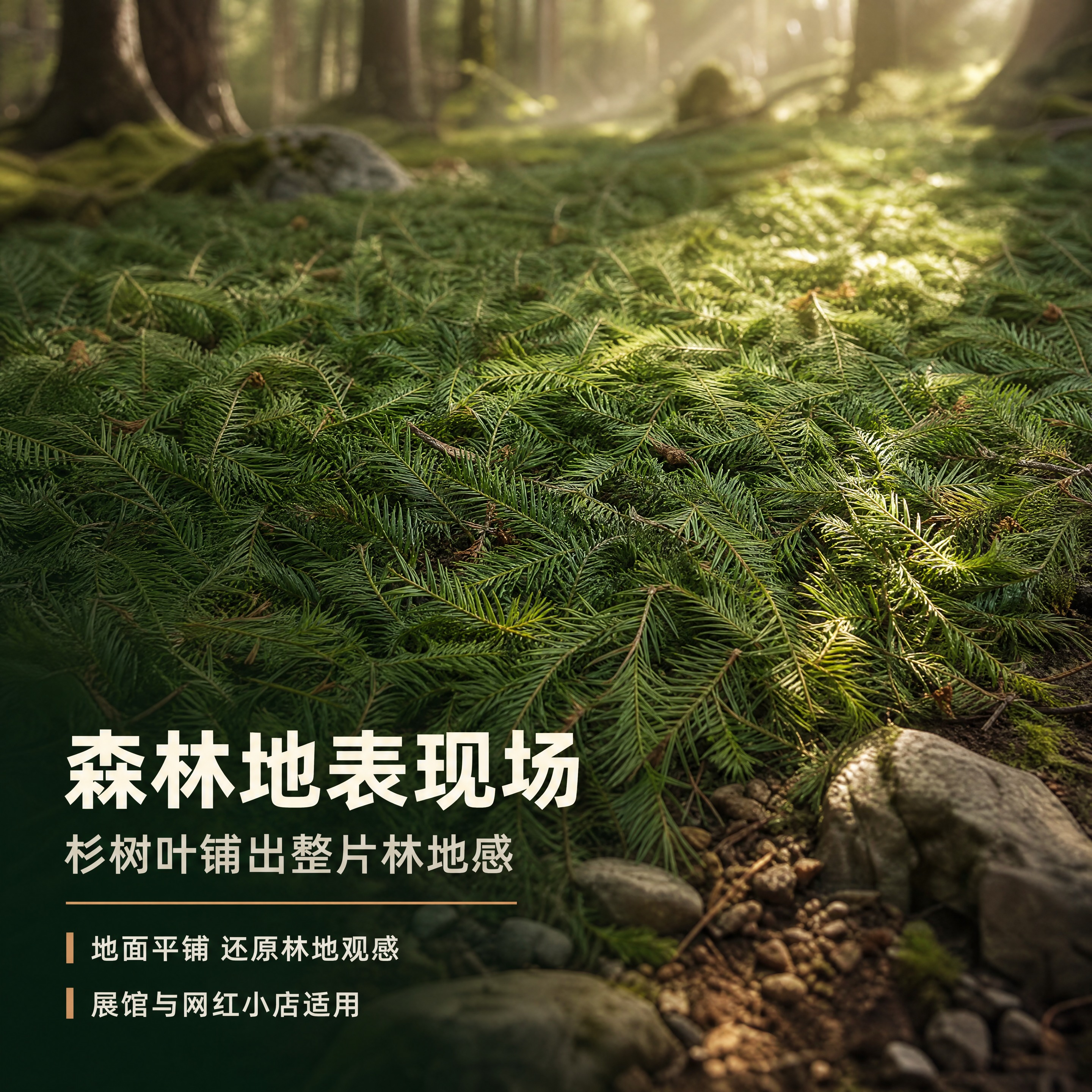[商品] 使用【图1】【图4】【图5】的新鲜杉树叶作为森林造景… - 图片创意预览