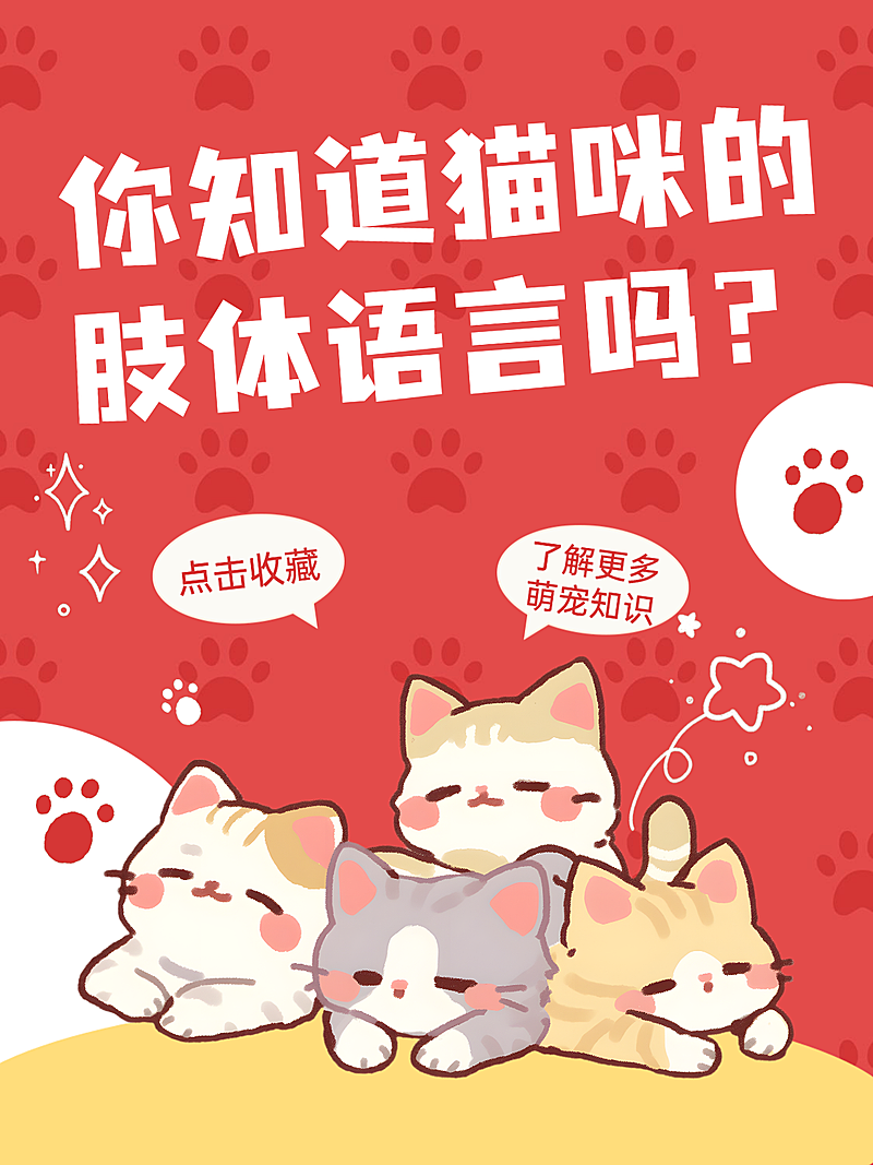 宠物猫咪知识科普小红书封面