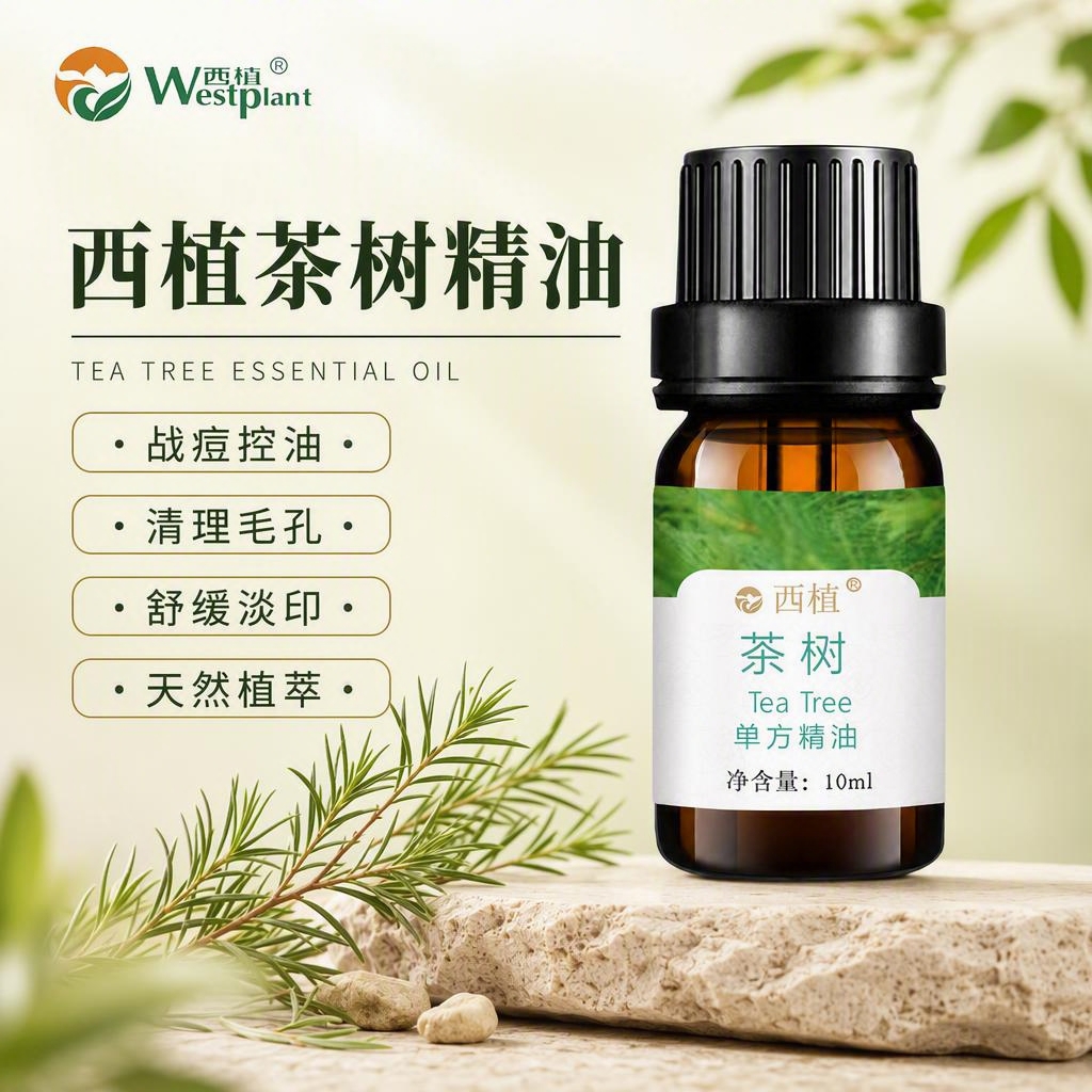 [主图-1] 首图品牌调性，排版参考用户提供的玫瑰精油主图格式… - 图片创意预览