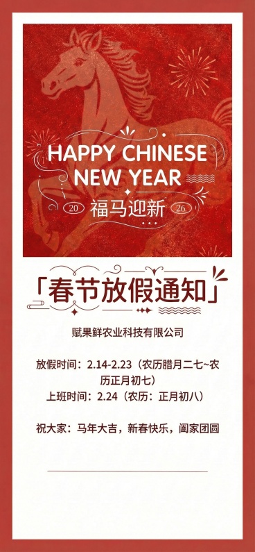 将海报中所有字体替换为圆体，并为字体添加线条类小元素，增加设计感预览效果