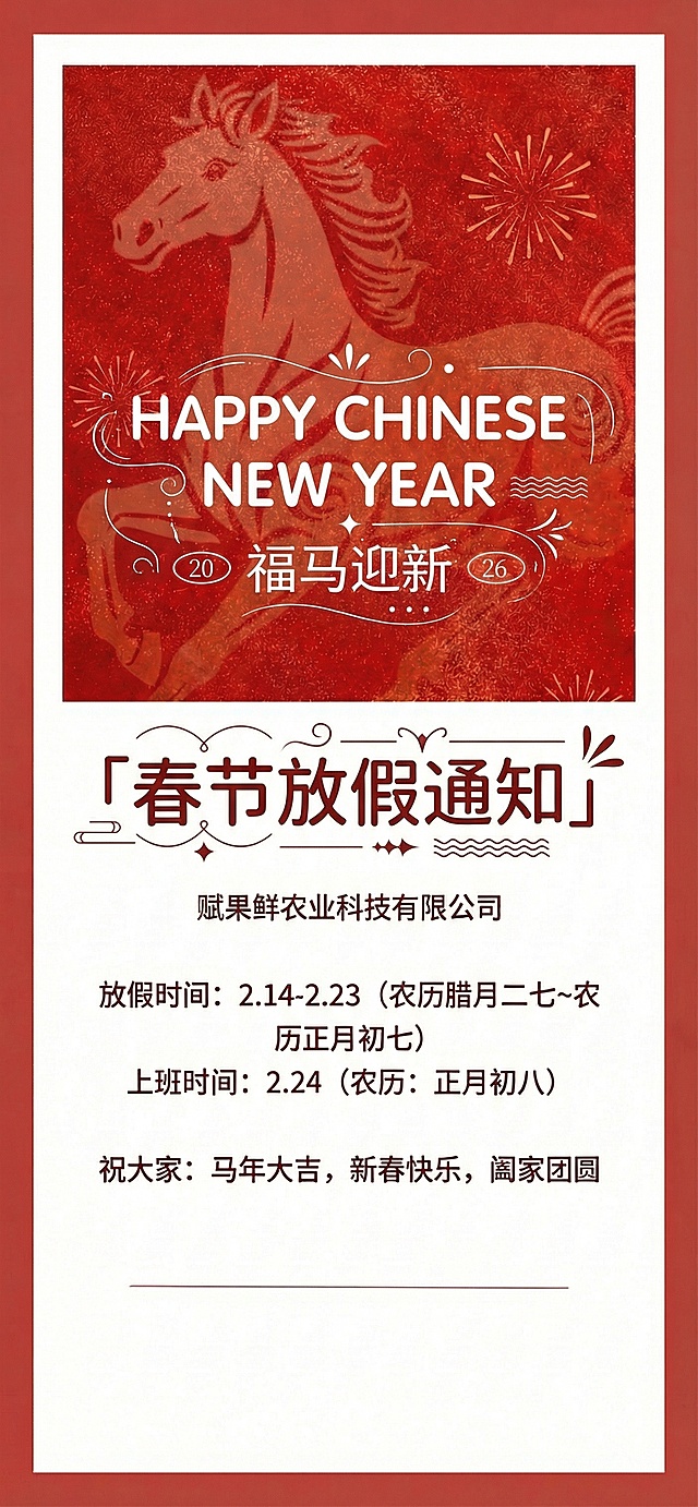 将海报中所有字体替换为圆体，并为字体添加线条类小元素，增加设计感