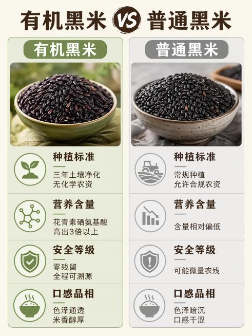 结合端午助农、乡村振兴热点，制作洋县有机黑米品牌科普商业长图海报，要求具备新媒体传播属性、美观性、商业推广性，使用本次给定的完整黑米科普文案，自主全网搜集高清素材，完成全篇专业图文混排，最终生成一张完预览效果