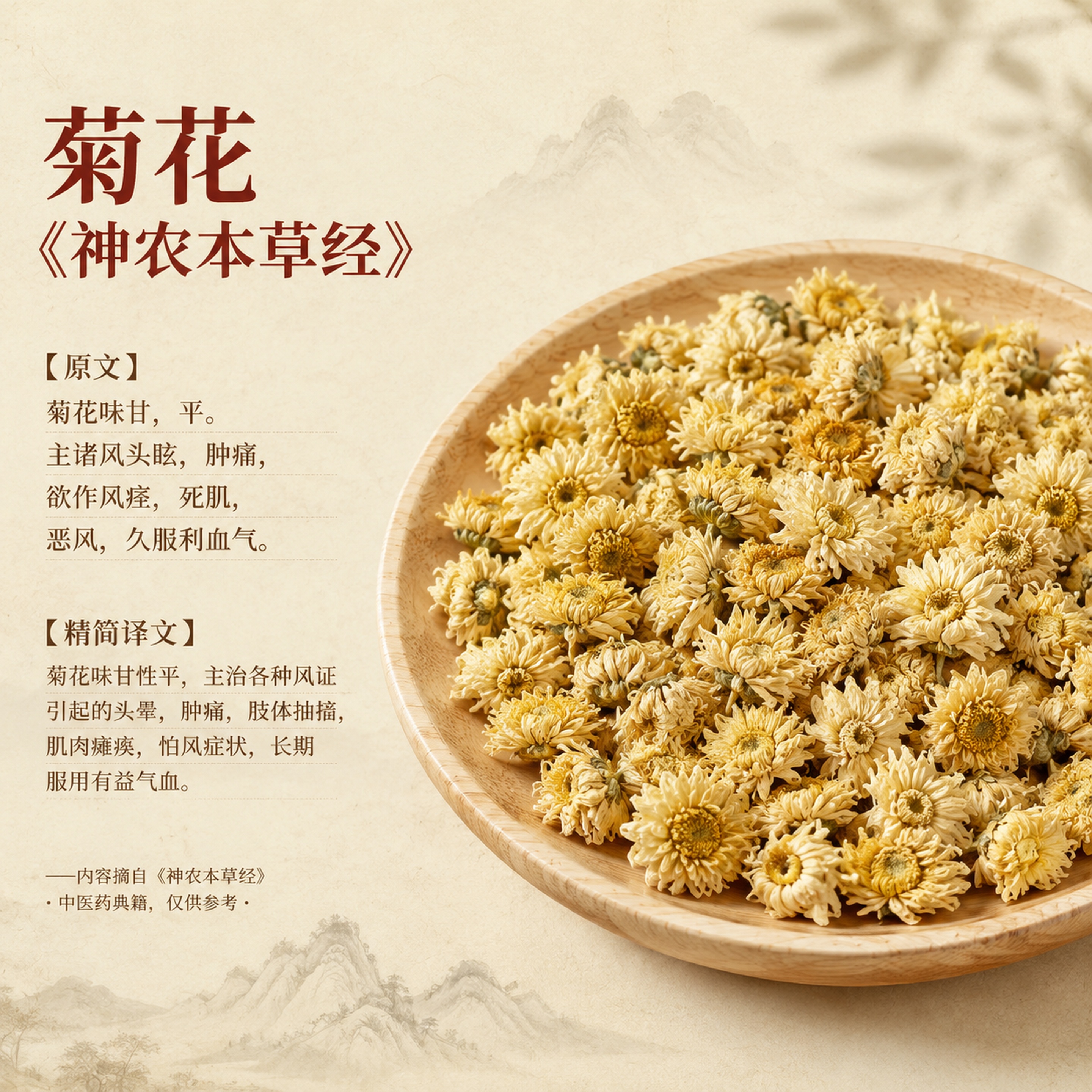 [主图-4] 菊花单品典籍介绍主图。[氛围风格] 中式复古国风… - 图片创意预览