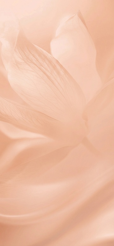 将图片整体颜色调整为#e4af9c，保留原有的花瓣线条质感预览效果