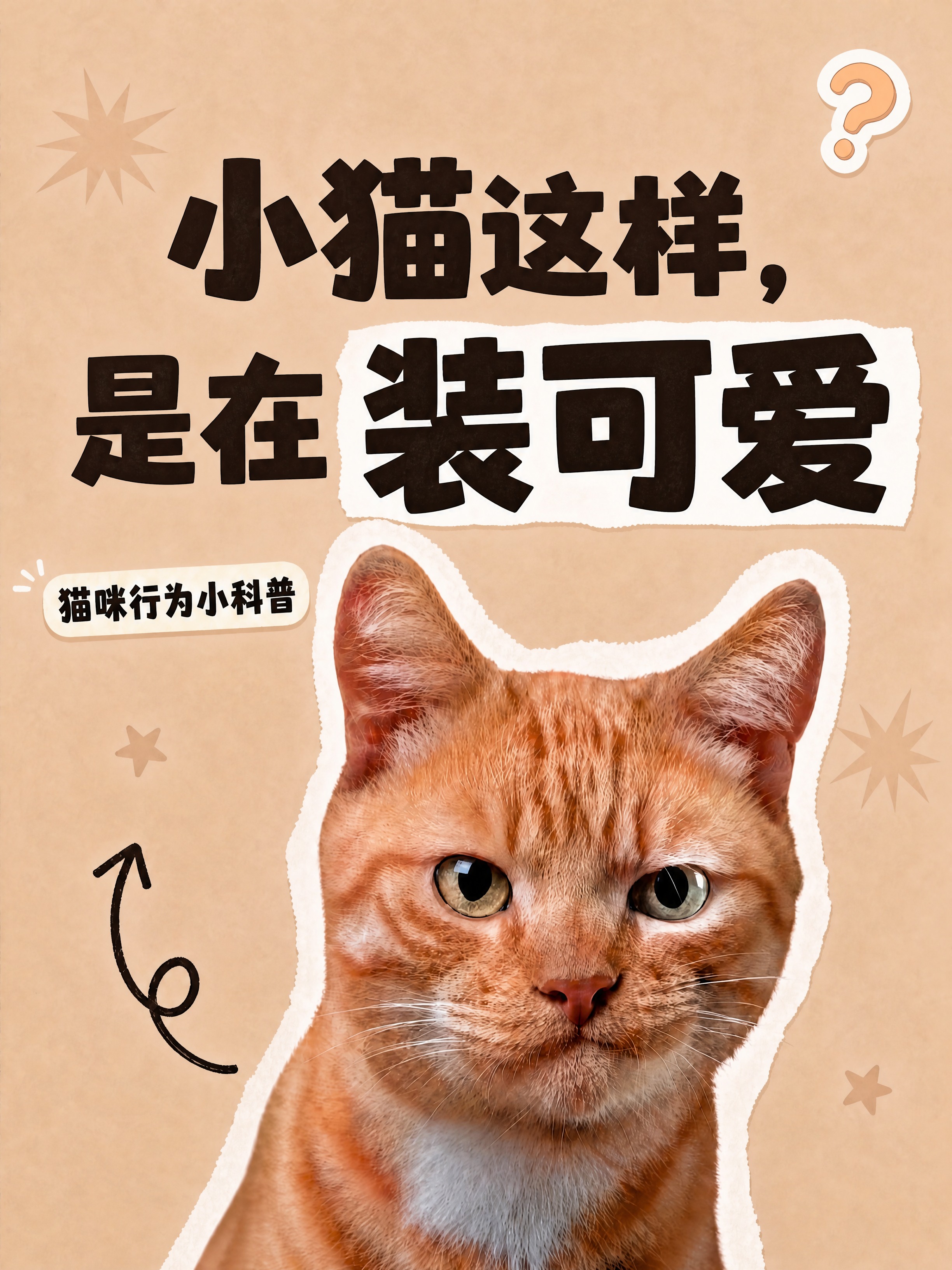 小红书笔记大字封面，配图大字，ins清新可爱风，版式精美，小红… - 图片创意预览