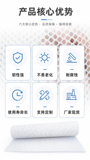 [第2屏] 产品核心卖点展示页，塑料平网卖点总览，本屏使用【图1】作为商品背景装饰。
[氛围/风格] 简约专业工业风，干净清爽，信息层级清晰，商业设计质感
[元素布局] 顶部放置主标题，中间排列六个卖预览效果