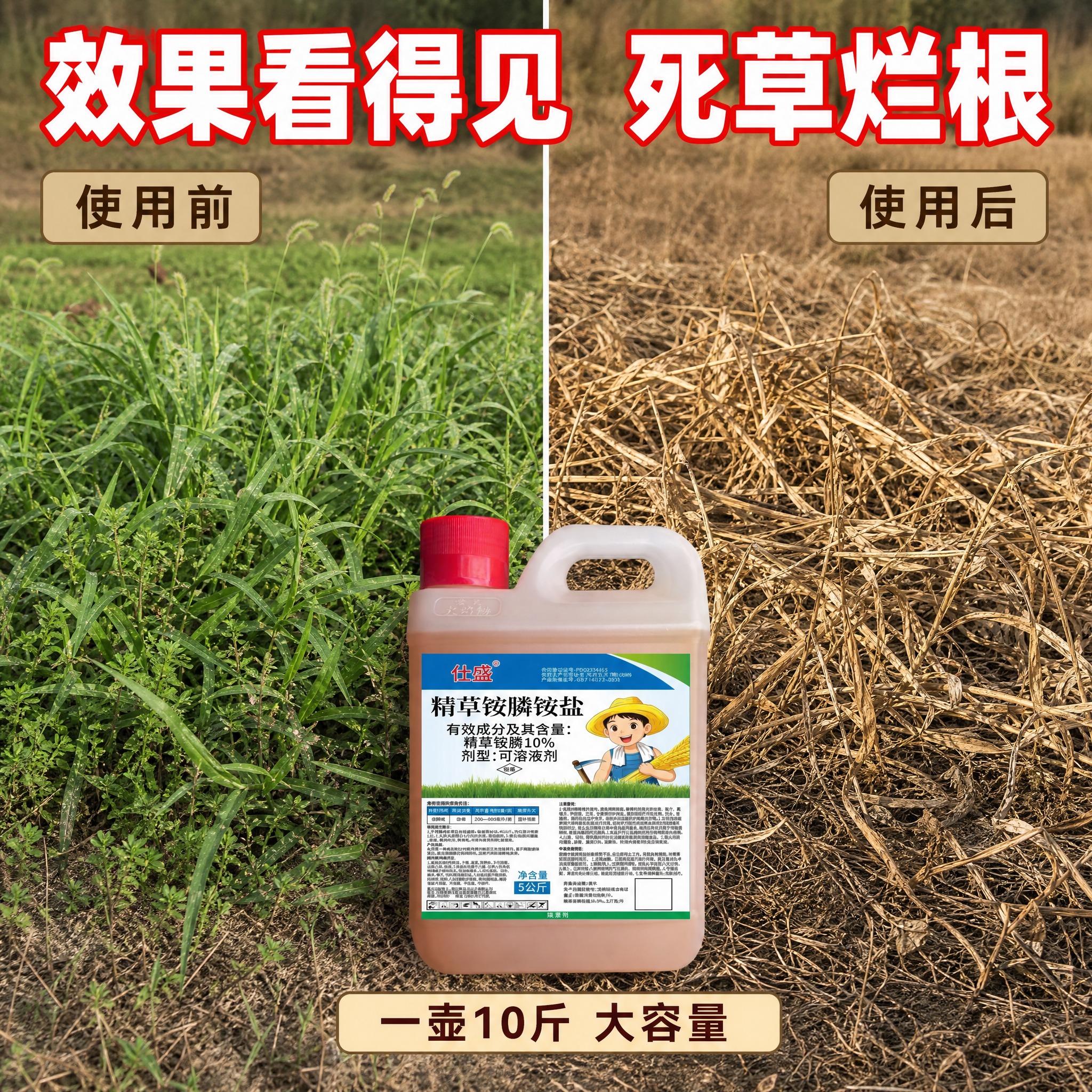 [主图-2] 效果对比证明，展示使用前后杂草变化。 [统一基调… - 图片创意预览