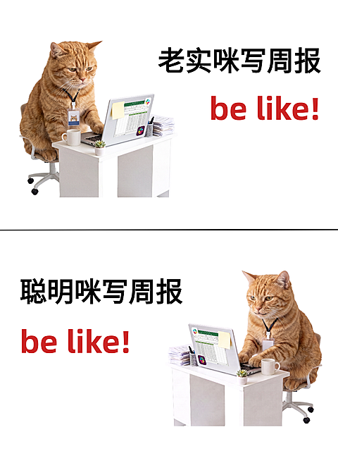 职场生活分享通用动物猫咪热梗梗图对比大字小红书封面