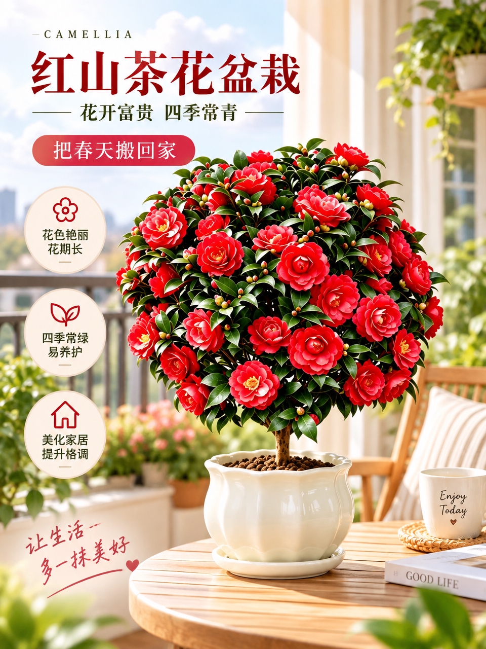 电商淘宝天猫主图，将图中的红色山茶花盆栽放置在明亮温馨的阳台场… - 图片创意预览