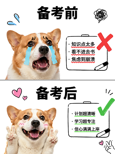 学习狗狗卡通可爱小红书封面对比图