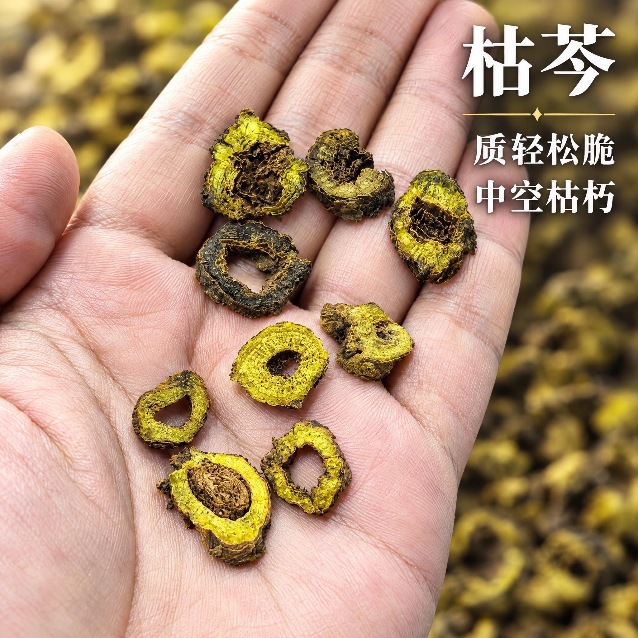 基于上传的枯芩素材进行主图创作，严格使用上传素材，完整保留原图… - 图片创意预览
