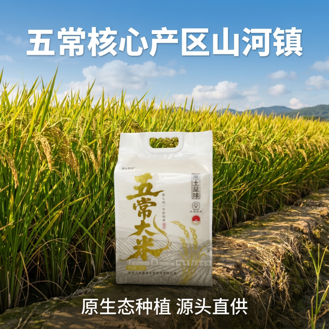 [主图 6] 源产地环境展示，原生态五常稻田。
[氛围风格] 原生态自然产地氛围，强调源头直采；
[画质] 商业摄影质感、光线柔和通透、产品清晰真实、画面干净高级。
[元素] 产品包装袋放置在前景田埂预览效果