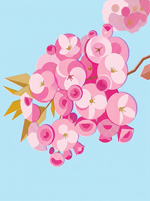 将这张樱花图片转换为现代极简几何扁平风，融合包豪斯主义的理性线条与risograph印刷质感，图形高度概括，无多余细节，强调色彩与形状的构成关系，带有复古印刷的颗粒肌理