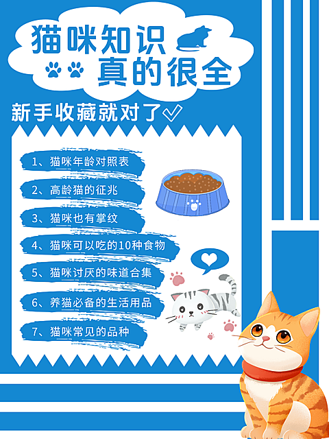 猫咪饲养技巧分享小红书封面