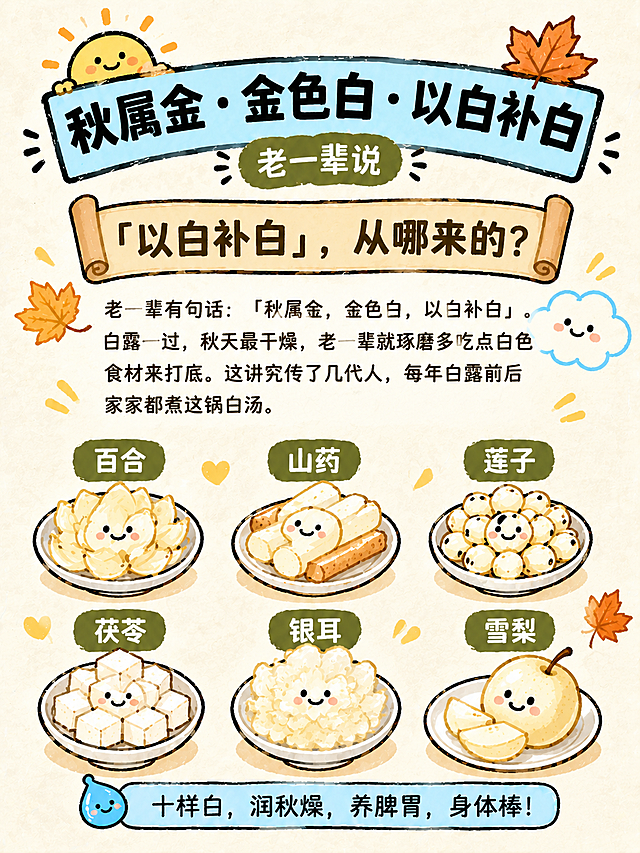参考图的手绘卡通插画风格、米白纸质纹理背景、配色体系和装饰语言整体保留，将内容替换为「以白补白」知识科普卡片。画面上方约1/3区域：大字标题「秋属金·金色白·以白补白」，下方配小字「老一辈说」，用复古卷轴或云朵贴纸样式呈现。卡片主标题为「「以白补白」，从哪来的？」，放在顶部横幅位置。正文区域排版一段文字：「老一辈有句话：「秋属金，金色白，以白补白」。白露一过，秋天最干燥，老一辈就琢磨多吃点白色食材来打底。这讲究传了几代人，每年白露前后家家都煮这锅白汤。」文字清晰可读，放在画面中部偏上区域。画面下半部：一组白色食材小卡片整齐排列，包括百合、山药、莲子、茯苓、银耳、雪梨等白色食材，每种食材都是手绘卡通风格带笑脸，装在小白盘里，旁边有名称小标签。装饰元素保留参考图风格：小太阳、枫叶、云朵笑脸、小水滴等可爱贴纸点缀，整体色调暖米白+浅棕+奶黄，秋季温润氛围。版式精美，四周留安全边距，信息层级分明。画面中所有信息区域必须填充完整合理的内容，不得出现空白框。画面中必须完整呈现以下文字：「「以白补白」，从哪来的？」、「秋属金·金色白·以白补白」、「老一辈说」、「老一辈有句话：「秋属金，金色白，以白补白」。白露一过，秋天最干燥，老一辈就琢磨多吃点白色食材来打底。这讲究传了几代人，每年白露前后家家都煮这锅白汤。」