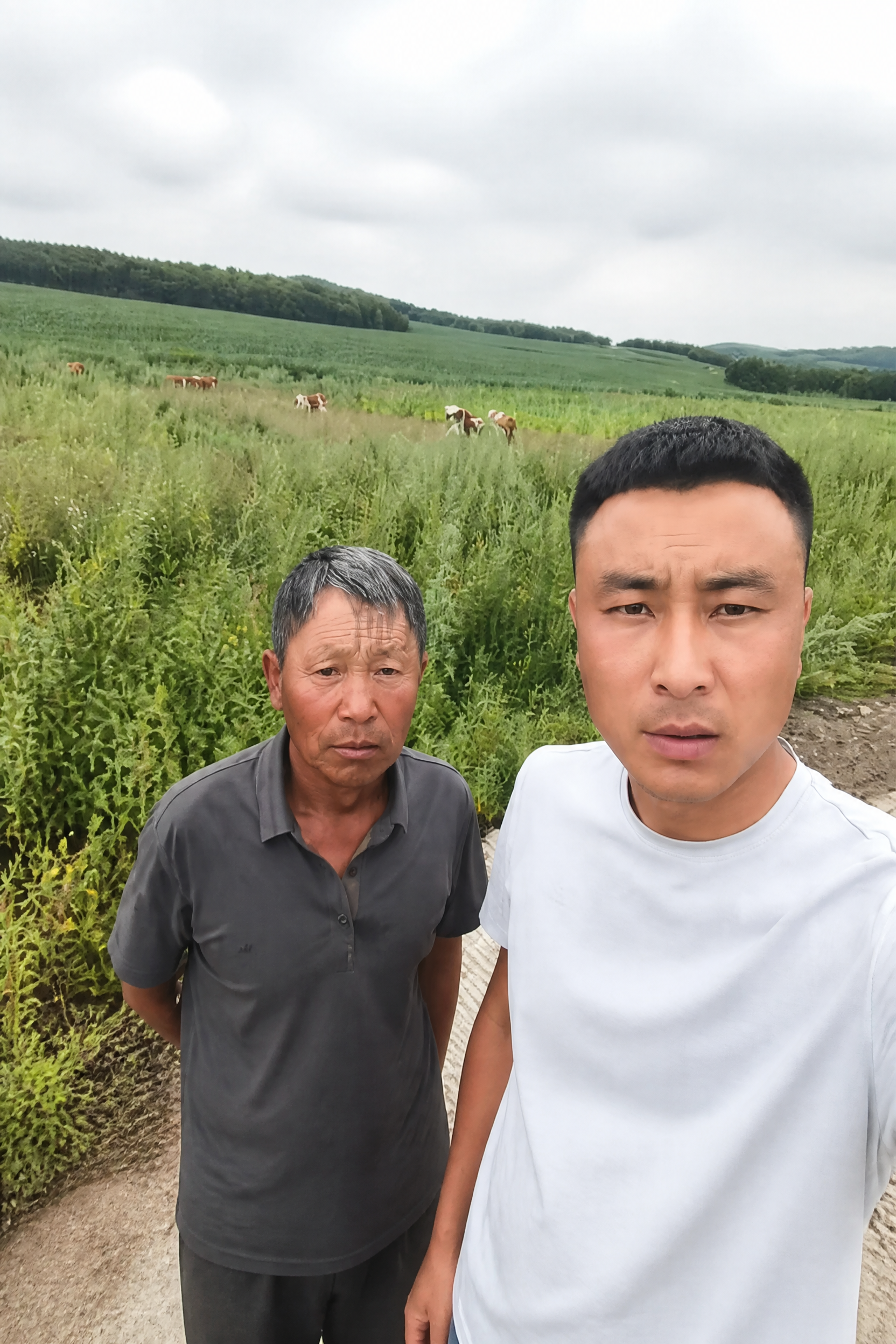 去除图片中所有白色文字水印（经度、纬度、坐标系、地址、时间、海… - 图片创意预览