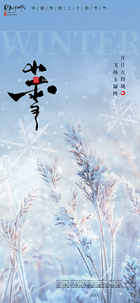 小雪冬日雪花节气海报