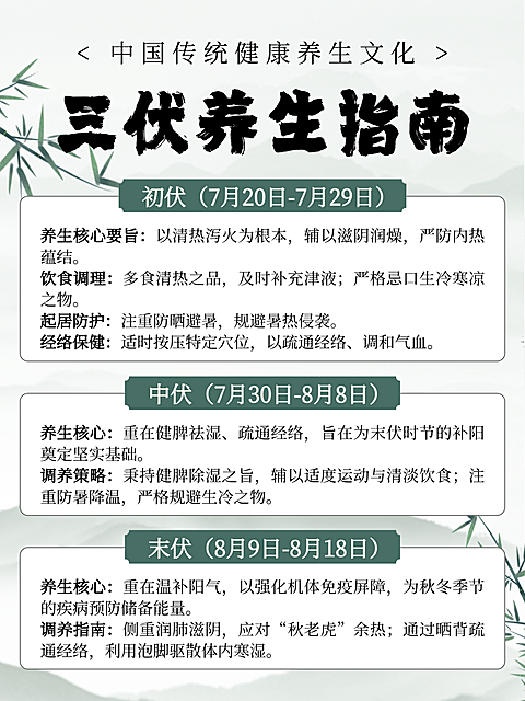 灰色水墨插画风三伏养生指南知识分享小红书配图